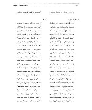 دیوان سیدای نسفی به تصحیح و تعلیق حسن رهبری - میر عابد سیدای نسفی - تصویر ۸۶