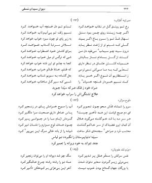 دیوان سیدای نسفی به تصحیح و تعلیق حسن رهبری - میر عابد سیدای نسفی - تصویر ۲۴۰