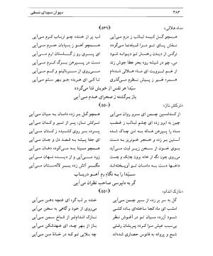 دیوان سیدای نسفی به تصحیح و تعلیق حسن رهبری - میر عابد سیدای نسفی - تصویر ۳۸۸