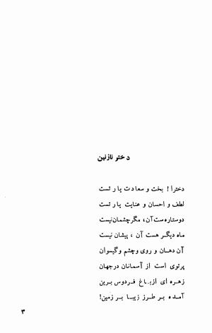 فرهنگ ایران در قلمرو ترکان (اشعار فارسی نعیم فراشری) - عبدالکریم گلشنی - تصویر ۶۳