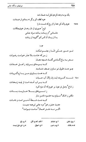 دیوان جامی ـ ج ۱ (فاتحة الشباب) - نور الدین عبدالرحمان جامی - تصویر ۲۵۸