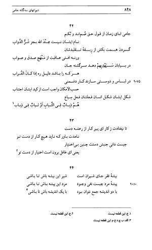 دیوان جامی ـ ج ۱ (فاتحة الشباب) - نور الدین عبدالرحمان جامی - تصویر ۸۴۸